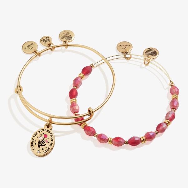 /fast-image/h_600/a-n-a/products/i-trust-the-strength-of-my-soul-charm-bangles-set-of-2-front-AA713822RG.jpg