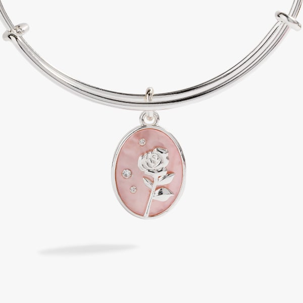 /fast-image/h_600/a-n-a/files/rose-garden-charm-bangle-AA817824SS.jpg