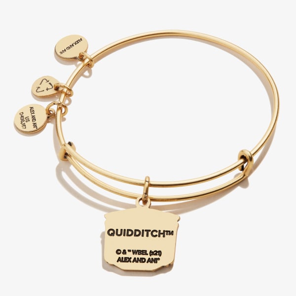 /fast-image/h_600/a-n-a/products/harry-potter-quidditch-pitch-charm-bangle-gold-front-AS21HPQUIDRG.jpg