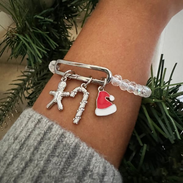 Holiday Interchangeable Charm Stretch Bracelet – Alex and Ani