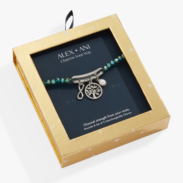 Family Interchangeable Charm Stretch Bracelet – Alex and Ani