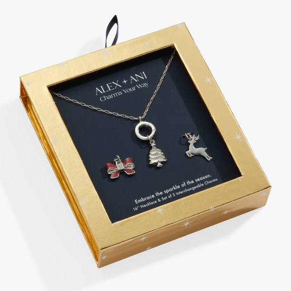 Holiday Interchangeable Charm Necklace Gift Set – Alex and Ani