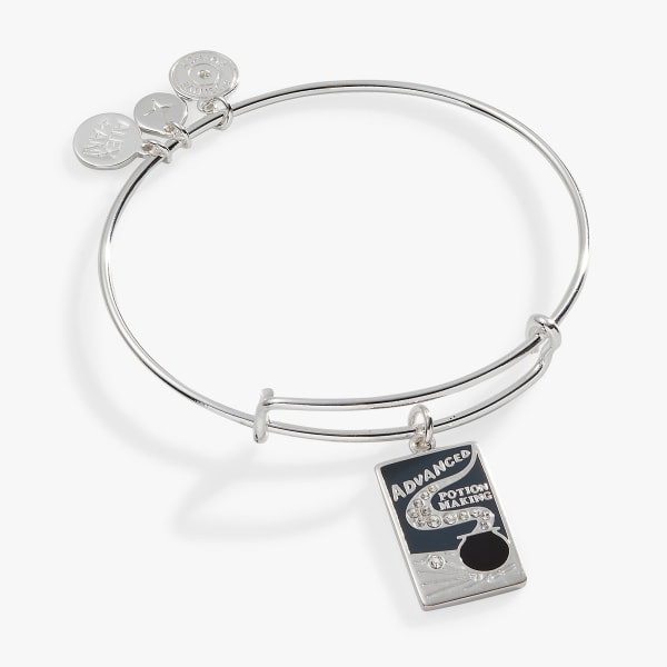 Alex and Ani Initial S Charm Bangle Bracelet in Shiny Silver
