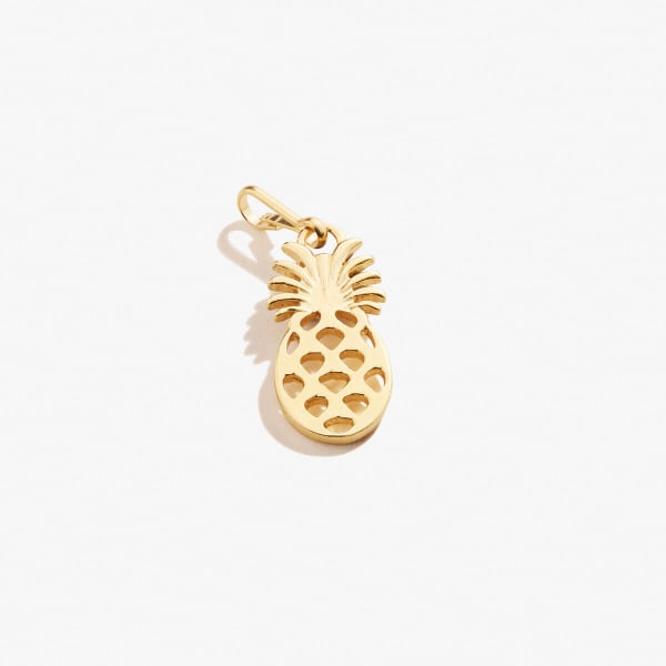 /fast-image/h_600/a-n-a/products/Pineapple-Charm-Gold-Front-CS18P03G.jpg