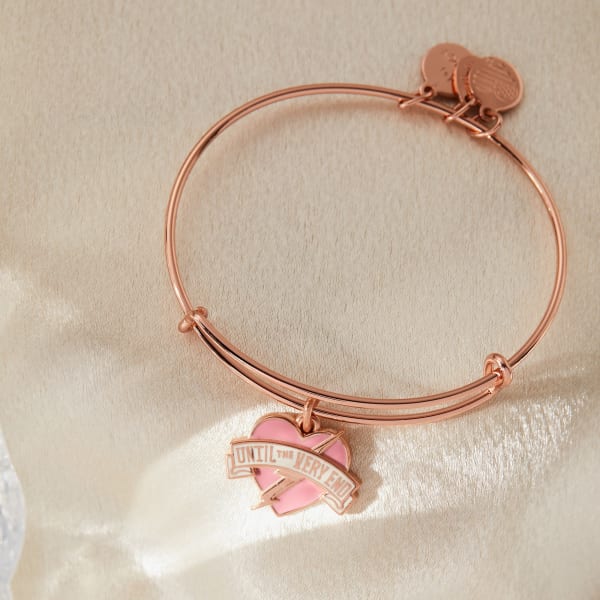 Alex and Ani Arrows of Friendship Charm Bangle Rose Gold