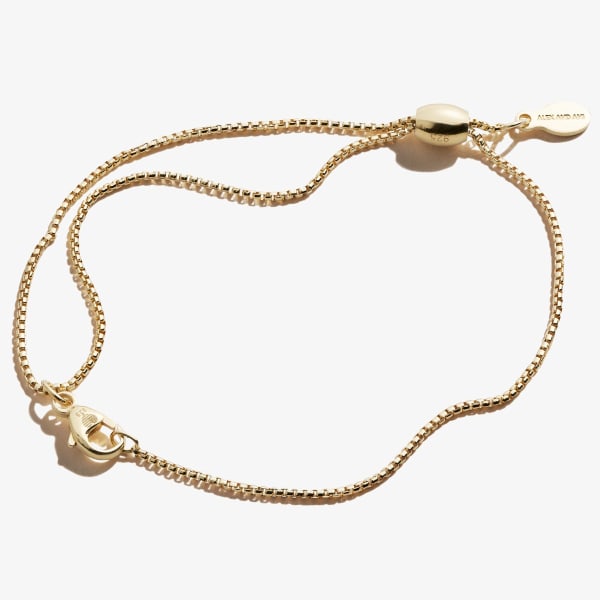 Alex and Ani Create Your Own Pull Chain Clasp Necklace